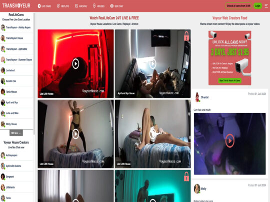 Trans Voyeur review, a site that is one of many popular Trans Voyeur Porn Sites