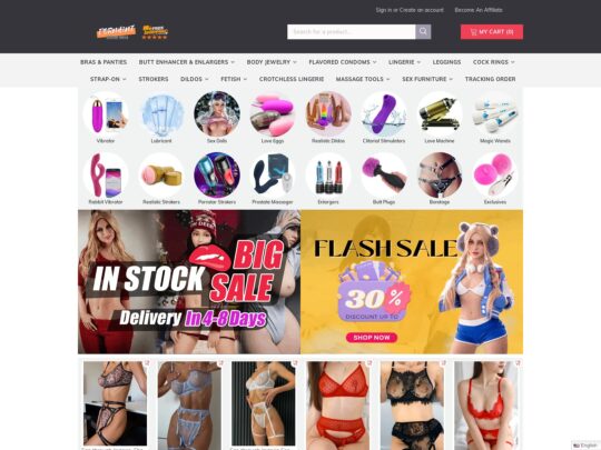 Pornhint review, a site that is one of many popular Online Trans Sex Toy Shops