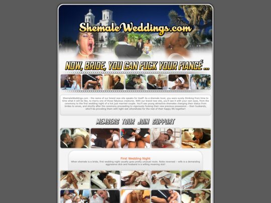 ShemaleWeddings a unique and innovative porn niche, featuring trans porn stars getting married and sharing their wedding nights.